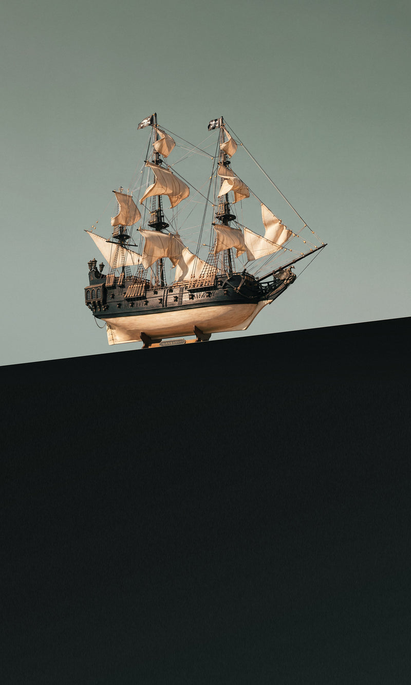 How the Black Swan model is built