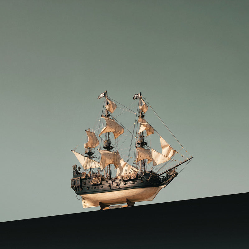 Cisne Negro Maqueta