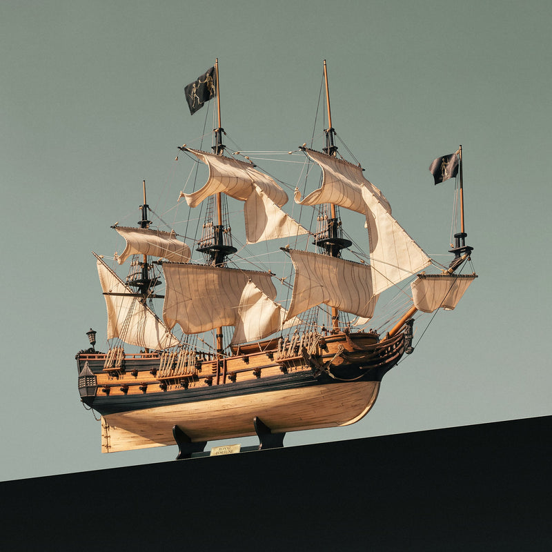 Bateau Pirate Royal Fortune