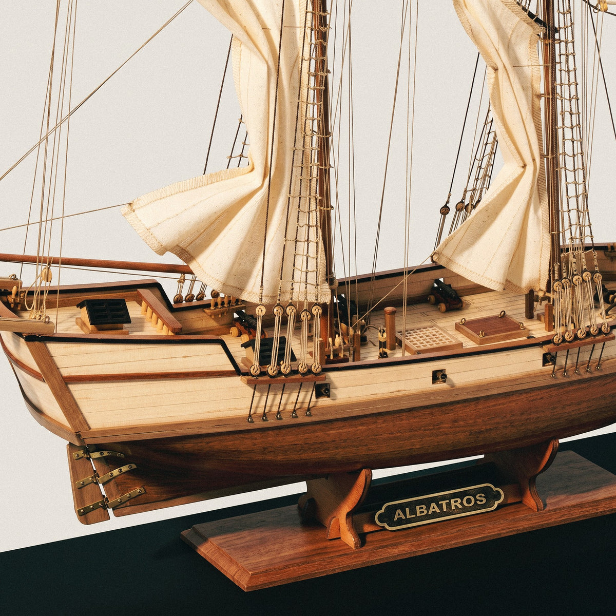Albatros