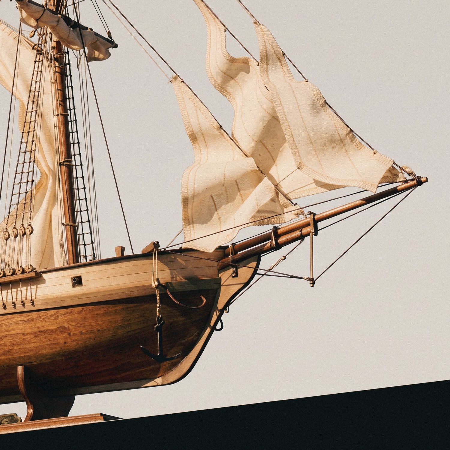 Albatros Color Pack