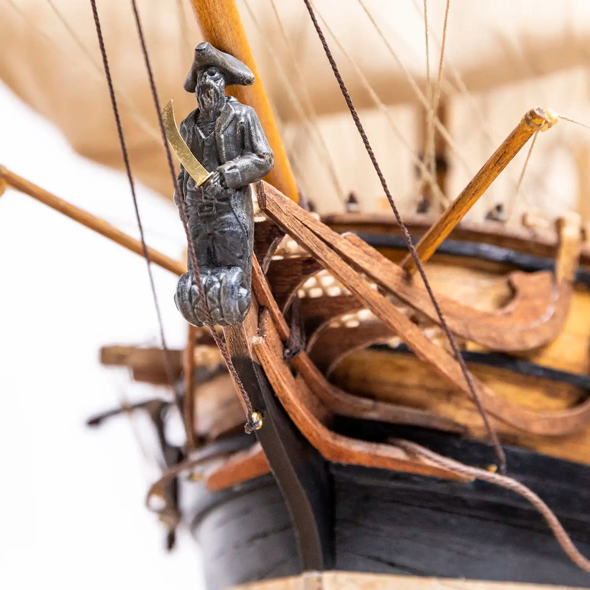Barco pirata Royal Fortune